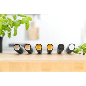 Zwilling All Star Набор из 4 ножей в черном блоке