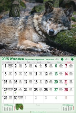Kalendarz 2025 A3 ŚCIENNY6 PLANSZOWY MIESZKACY PUSZCZY KALENDARZ MYŚLIWSKI