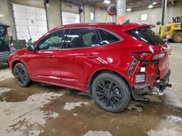 Ford Escape III 2024 Ford Escape ST Line Elite 2024 2.5L 2.5 Hybryda 192KM, zdjęcie 2