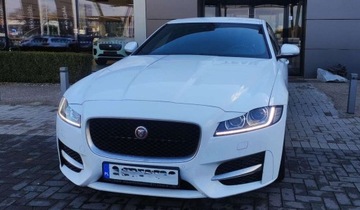 Jaguar XF II Sedan 2.0 i4P 250KM 2019 Jaguar XF JAGUAR XF 2.0P i4 250KM RWD AUTO R-Sport MY20 FV 23 2.0 Benzyna, zdjęcie 3