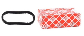 Феби Бильштайн 49403