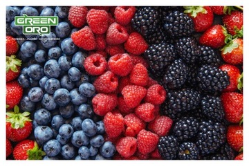Азотное удобрение Urea GARDEN для цветов туи, газонных хвойных растений, 5кг GREEN OO