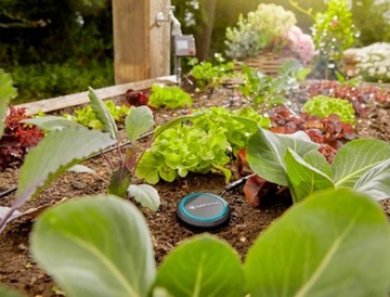 ДАТЧИК ВЛАЖНОСТИ ПОЧВЫ Gardena Water Controls