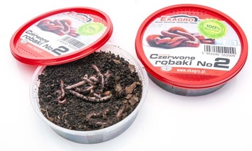 Красные черви '2' Калифорнийские дождевые черви