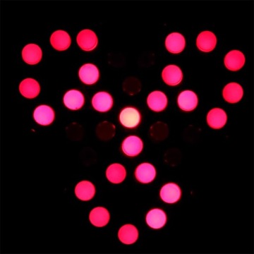 Kwiat 43 LED Efekt świetlny 9 animacji DIY KIT