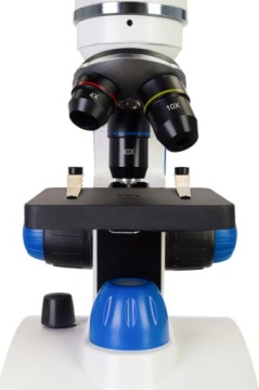 Микроскоп Levenhuk Discovery Pico.