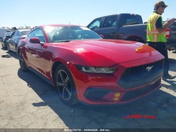 Ford Mustang VI 2024 Ford Mustang 2024 2.3L EcoBoost Fastback 2.3 Benzyna 315KM, zdjęcie 1