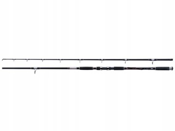 WĘDKA TENESA CATFISH 2,70m 2 up to 550g