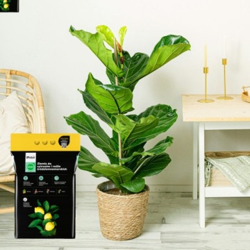 Грунт для ЦИТРУСОВЫХ И СРЕДИЗЕМНОМОРСКИХ РАСТЕНИЙ 20л