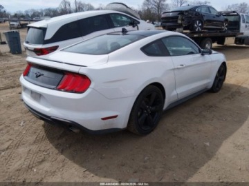 Ford Mustang VI 2022 Ford Mustang Ecoboost Fastback 2022 2.3 Benzyna 310KM, zdjęcie 5