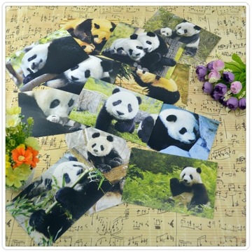 PAPIER ZWIERZĘCY PANDA POCZTÓWKA