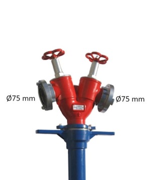 Stojak hydrantowy DN80 2X75 (B/BB)
