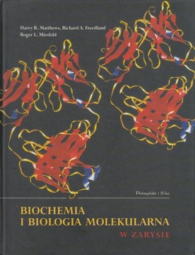 BIOCHEMIA I BIOLOGIA MOLEKULARNA W ZARYSIE