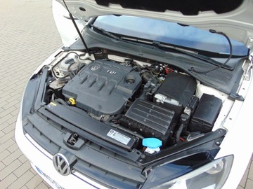 Volkswagen Golf VII Hatchback 3d 1.6 TDI BlueMotion 110KM 2015 VW GOLF 7 1.6 TDI 110 PS NAVI ALU TEMPOMAT KLIMATRONIC GRZANE FOTELE, zdjęcie 39