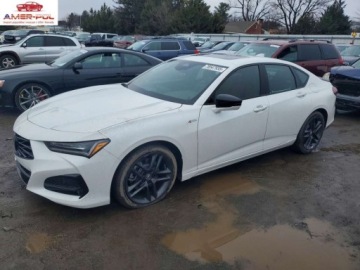 Acura 2025 Acura TLX A-Spec 2025 2.0 Benzyna 272KM