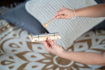 MEINL Sonic Energy EC-PL chimes pluto