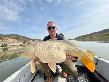 Бойлы SPRAY RaFish 16/20mm HOKED DIPED