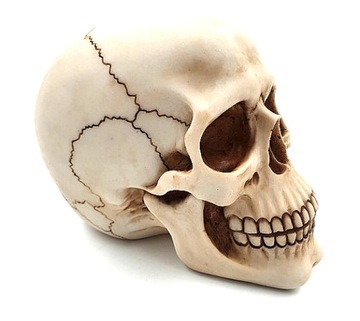 CZASZKA CZACHA NA HALLOWEEN HORROR PRZYCISK BIURKO