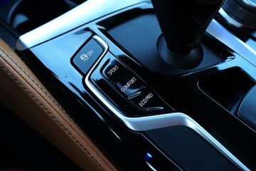 BMW Seria 5 G30-G31 Limuzyna 520d 190KM 2019 BMW Seria 5 Bezwypadek SalonPL xDrive LuxuryLine Tempomat Kamera FV, zdjęcie 16