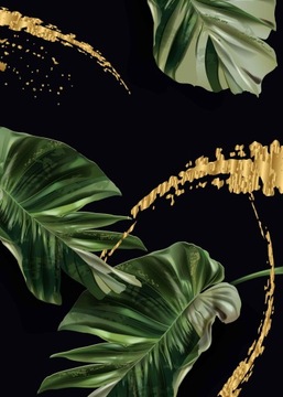 Monstera Plakat Plakaty do ramki B2 70x50cm