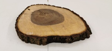 Срез грецкого ореха после высыхания 39х30см Столешница