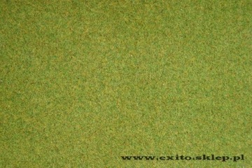 Ноч 00260, Травка - весенний луг, 120х60см