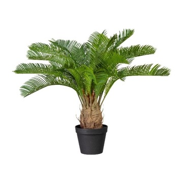 sztuczna palma wysokiej jakości Cycas 60cm cykas
