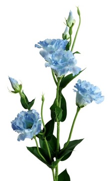 EUSTOMA SZTUCZNA KWIAT PREMIUM GAŁĄZKA BUKIET 82cm