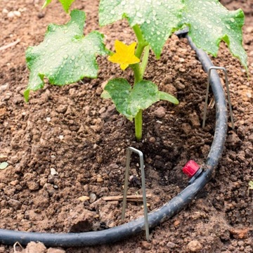 RST RACE DEPT FACTORY WHITE OS ЛОКОВЫЕ СЛАЙДЕРЫ (1929 г.)