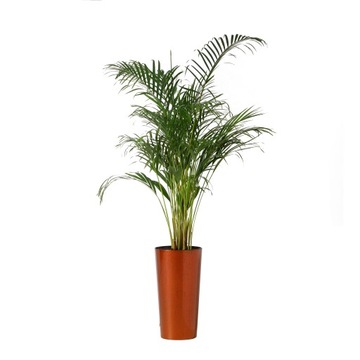 Donica LILIA połysk śr. 30cm kol. MIEDZIANY