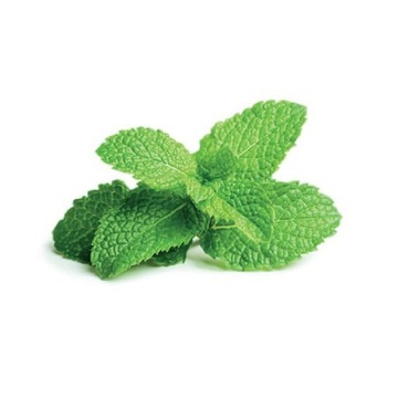 ЭПСОМ СОЛЬ ДЛЯ ВАННЫ ДЛЯ НОГ С МЯТНЫМ МАСЛОМ