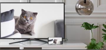 КАБЕЛЬ USB-C на USB-C 100 см, 10 Гбит/с, 4K, 60 Гц, 20 В/5 А, 100 Вт Unitek C14082ABK