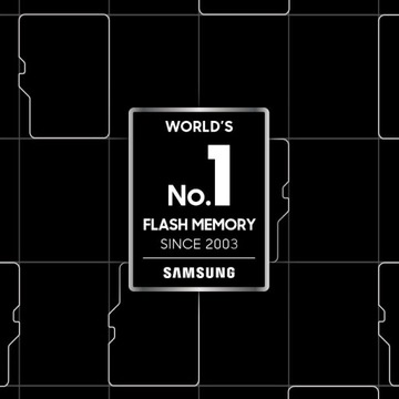 Карта памяти SAMSUNG Pro Endurance MicroSD 256 ГБ
