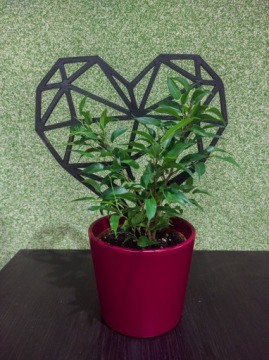 ЦВЕТОК ПОДДЕРЖКА РАСТЕНИЕ ЛЕСТНИЦА БЕСЕДКА СЕРДЦЕ 22