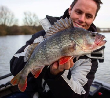 РЕЗИНА SAVAGE GEAR FAT T-TAIL ДЛЯ СУДАКА! - #13СМ