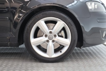 Audi A3 8P Hatchback 3d 2.0 TDI PD 170KM 2007 Audi A3 2.0 TDI, 167 KM, Klima, Klimatronic, zdjęcie 14