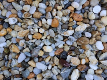 LAS W SŁOIKU OTOCZAK MIX MIODOWY RZECZNY 0,5 KG