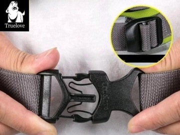 Бегущий пояс с собакой собаки