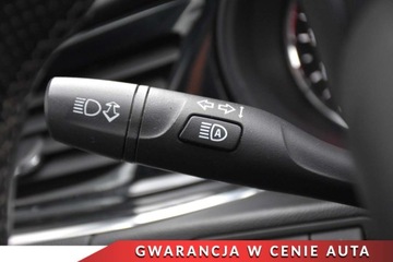 Opel Insignia I Sports Tourer Facelifting 2.0 CDTI Ecotec 170KM 2017 Opel Insignia OPCHead UPNaviKamera 360Full LedEl.KlapaSkoraAGRAsystenty, zdjęcie 19