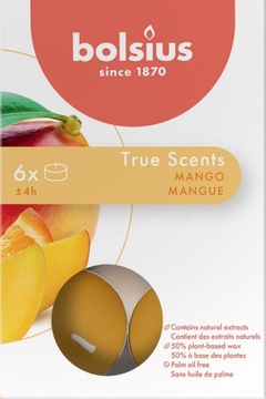 BOLSIUS TS Podgrzewacze zapachowe 4h MANGO 6 sztuk