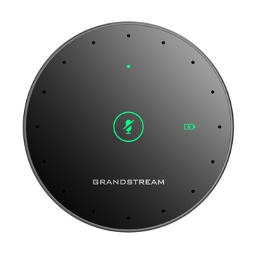 Grandstream GMD1208 (GMD1208), мост