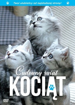 Cudowny świat kociąt [ DVD ]