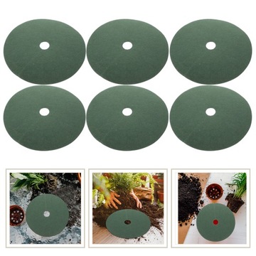 ЗАЩИТА КОРНЕЙ ДЕРЕВЬЕВ И ЗАЩИТА РАСТЕНИЙ