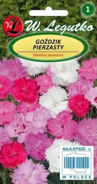 Goździk pierzasty – mix – 0,5 g Legutko