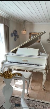 FORTEPIAN PETROF P 173 ROCOCO