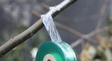 Лента для прививки растений, прививки, садоводства, водонепроницаемая, 19 мм/100 м