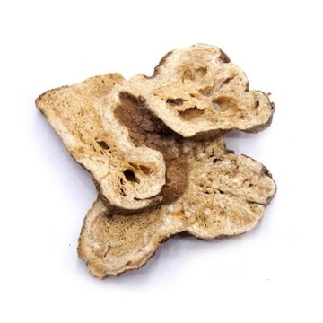 Atraktylod wielkogłówkowy BAI ZHU kłącze 250 g