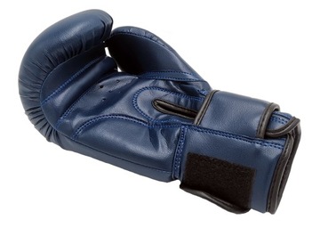 ПЕРЧАТКИ ДЛЯ БОКСЕРСКОГО СПАРИНГА EVOLUTION PRO, 10 УНЦИЙ