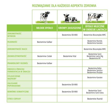 Премикс для коров BESTERMINE VITAL De Heus 25кг