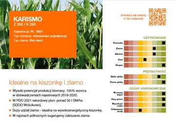 Семена кукурузы KWS KARISMO 50тыс.